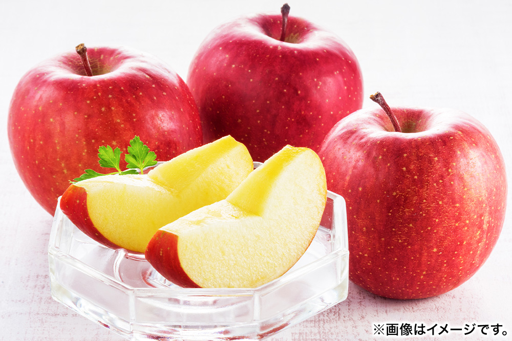 【25年12月～発送】りんご 【糖度13度以上】サンふじ 約10kg 【秀品】 青森県 フルーツ 果物