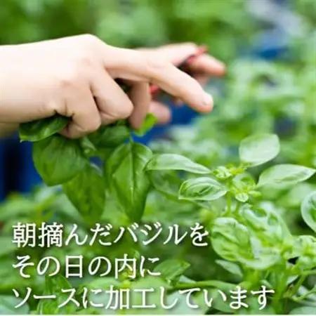 濃厚・無添加　バジルソース(ジェノベーゼソース)　瓶　100g×7本【配送不可地域：離島】【1493641】