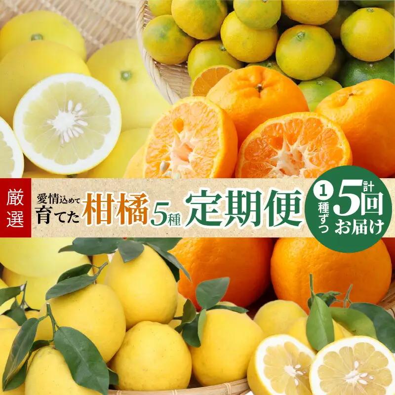 S040-017A_【定期便5回】厳選！天草 下浦地区の農家が愛情込めて育てた柑橘5種〈先行予約〉 / ポンカン 不知火 晩柑 柑橘 みかん フルーツ