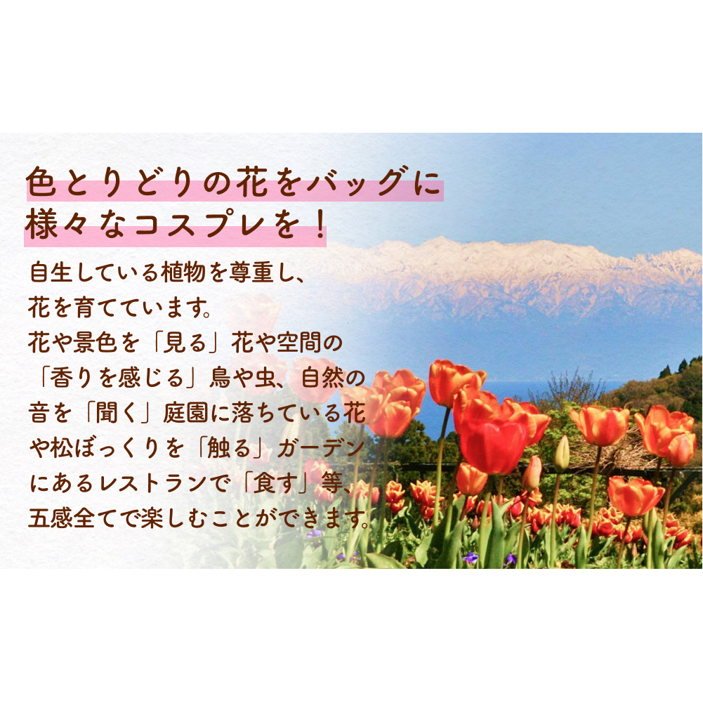 あいやまガーデン入場券+コスプレ控室つき（大人4枚） 富山県 氷見市 入場券 ペア 花 ガーデン コス 体験