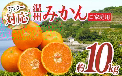 【ご家庭用】みかん 約10kg（100～120個）ー2025年11月下旬より発送ー長与町/長崎西彼農業協同組合 長与支店 [EAH003] 温州みかん みかん10kg みかん 先行予約