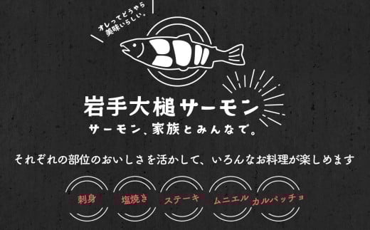 岩手大槌サーモン ～家族とみんなで。～ 700g～800g｜サーモン国産 刺身 刺身冷凍 小分け サーモン 冷凍 岩手県大槌町【0tsuchi01311-202506】