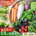 【ふるさと納税】【数量限定】厳選！旬を味わう高槻野菜おまかせ詰め合わせセット 5月（10種〜15種）　大阪府高槻市/高槻あぐり[AOCS011][AOCS011]