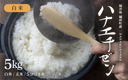 【新米・先行予約】旨いご飯！お米 ハナエチゼン 5kg 「白米」 令和6年 福井県産【米 はなえちぜん 華越前 人気品種 ブランド米 5キロ 精米 白米 玄米  5ぶづき米 おにぎり うまい ぶつき米