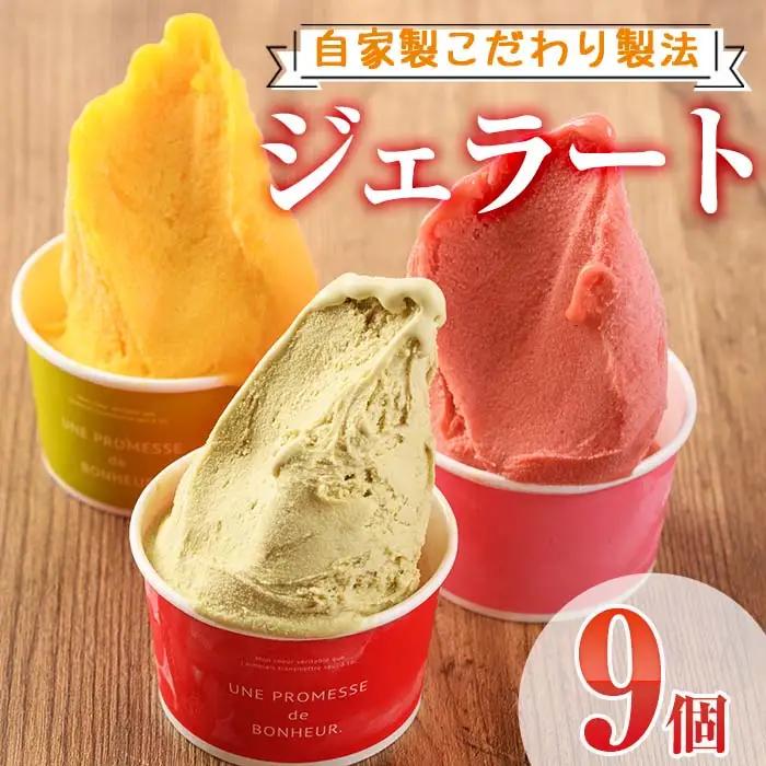 【I-2】＜先行予約受付中！2026年7月から順次発送予定＞自家製こだわり製法！自家製ジェラート(9個)アイス スイーツ 詰め合わせ【ミツル・プラス】
