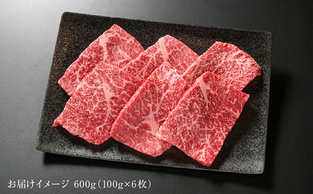 飛騨牛 赤身ステーキ 600g（100g×6枚） 冷凍真空パック | 肉 お肉 ステーキ 黒毛和牛 和牛 人気 おすすめ 牛肉 ギフト お取り寄せ 7日以内お届け[MZ018]