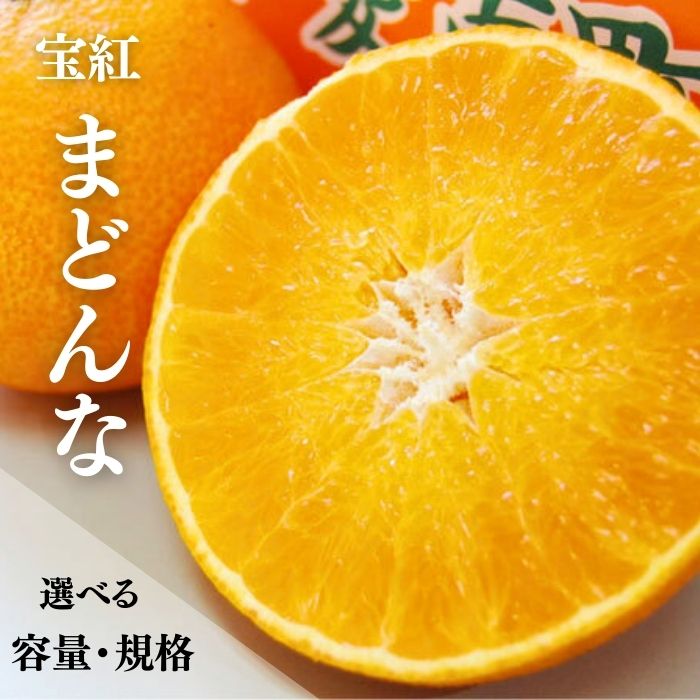【ふるさと納税】 【先行予約】 選べる 容量 規格 訳あり 贈答用 宝紅まどんな 1.5kg 800g サイズミックス 傷 黒点 果物 柑橘 みかん 愛果28号 人気 フルーツ 高級 マドンナ 訳アリ 宝紅マドンナ 10,000円 愛南町 吉本農園 発送期間 12月上旬以降発送