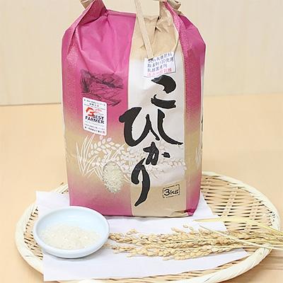 ふるさと納税 都留市 【山梨県都留市産】こしひかり(3kg×3袋)