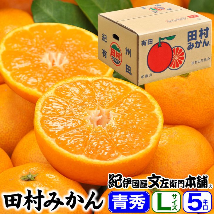 V7447_田村みかん／5kg青秀【Lサイズ】