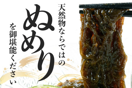 SI-2 天然もずく・業務用18kg入り一斗缶