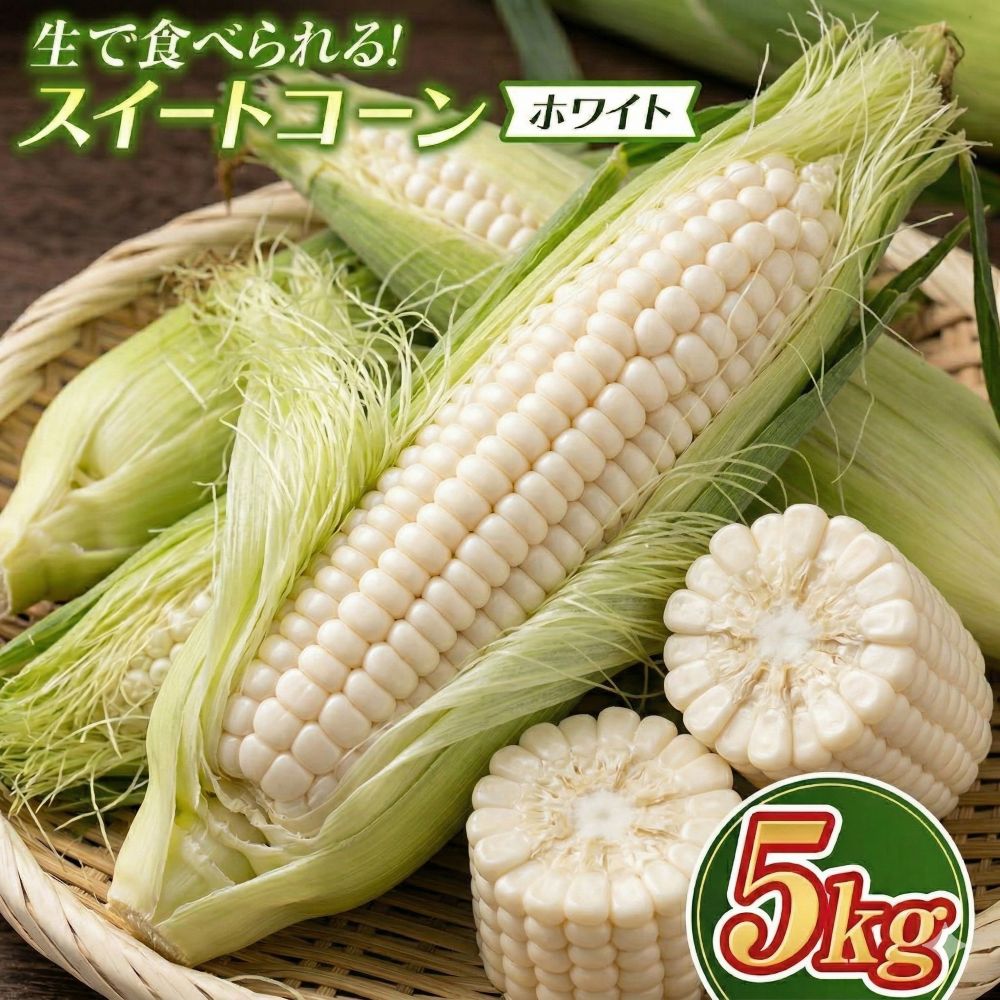 【ふるさと納税】スイートコーン （ホワイト） 5kg 【令和8年8月1日頃～15日頃発送】ふるさと納税 北海道 新十津川 北海道産 とうもろこし トウモロコシ 野菜 やさい 新鮮 大容量 新十津川町 【先行受付】