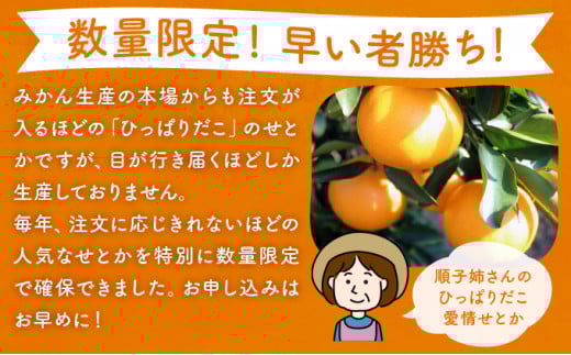 KU303 【高評価農園の限定温室せとか】＜先行予約＞ 溢れ出る果汁！順子姉さんのひっぱりだこ愛情温室せとか 2.5kg
