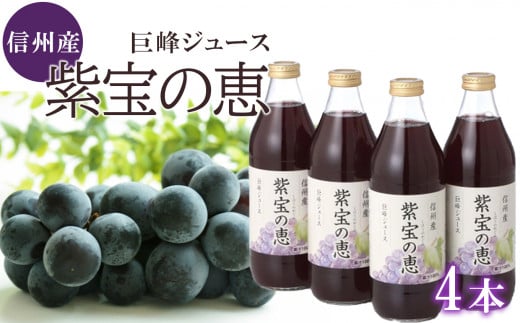 
信州産 巨峰ジュース 「紫宝の恵」 果汁100％ (1ℓ×4本)
