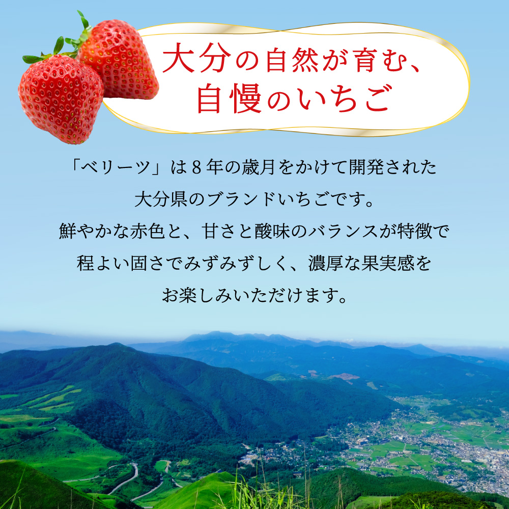 ベリーツ 約200g×4P【3月出荷】 2A4