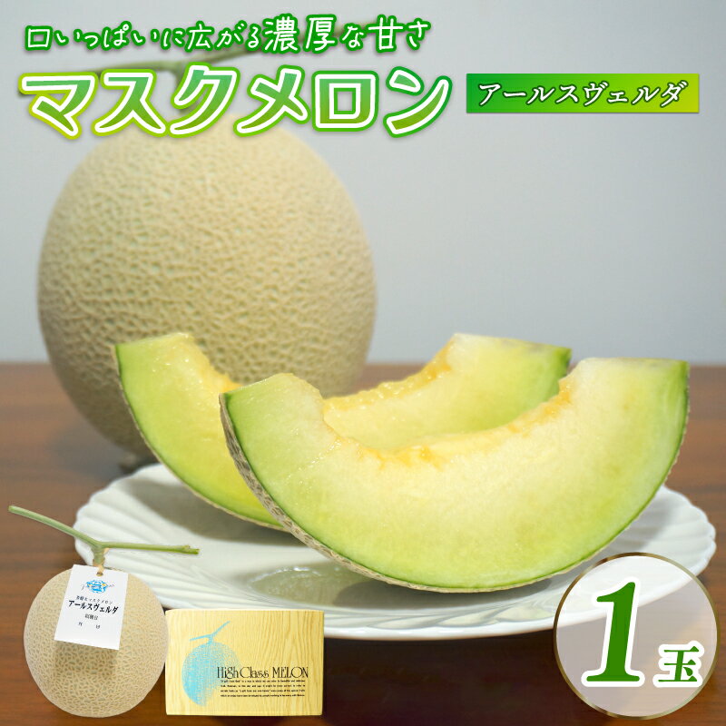 【ふるさと納税】 2026年9月中旬発送開始 マスクメロン 1玉 メロン フルーツ ギフト 果物 夏 季節限定 甘い 贈り物 お取り寄せ 産地直送 新鮮 熟成 国産 スイーツ デザート 贈答用 プレゼント 人気 お中元 数量限定 先行予約 新発田ファーム 新潟県 新発田市 shibatafarm005