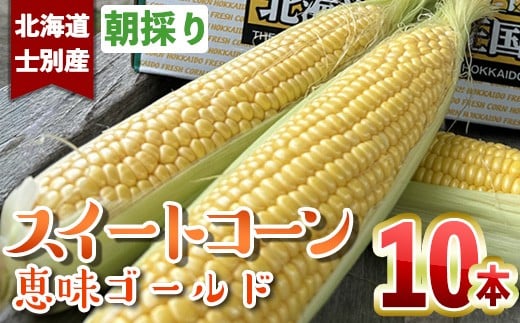 
            【B7018】＜数量限定＞北海道士別市産 朝採りスイートコーン(10本) 【2025年8月中旬以降順次発送】スイートコーン とうもろこし 恵味ゴールド 期間限定 とうきび 旬 野菜 甘い 北海道産 士別市産 国産 新鮮野菜 【ネオアグリプロジェクト株式会社】
          