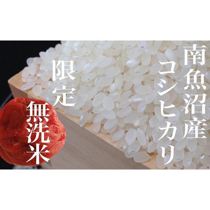 【令和7年産】【定期便】《無洗米》南魚沼産コシヒカリ6Kg×全3回【2025年10月上旬より順次発送予定】