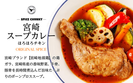 宮崎スープカレーセット(スープカレーほろほろチキン真空冷凍パック、スパイスソルト) スープ カレー レトルト
