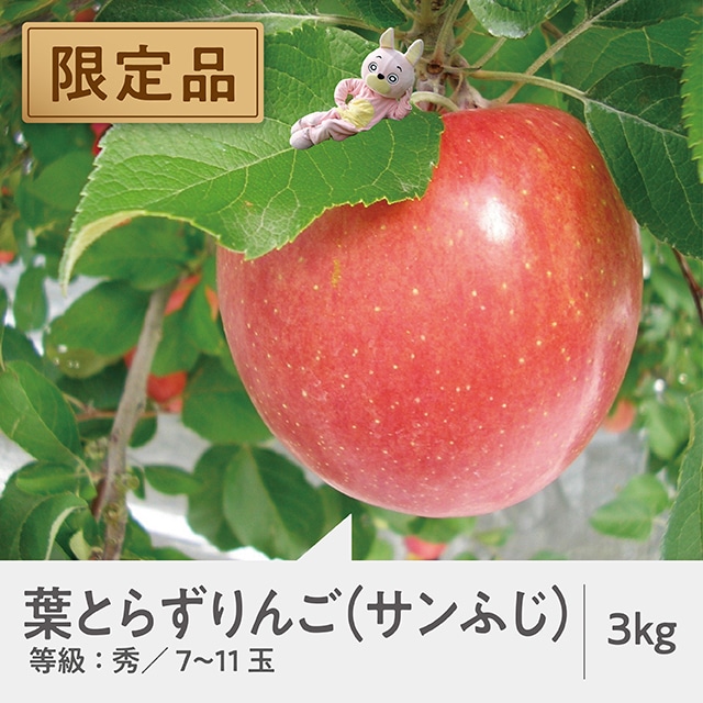 【葉とらずりんご限定300箱】りんご サンふじ 秀品 3kg 約7～11玉 山形県 朝日町産 山形県産 特産 果物 フルーツ リンゴ 林檎 秋 冬【12月上旬～12月下旬発送】