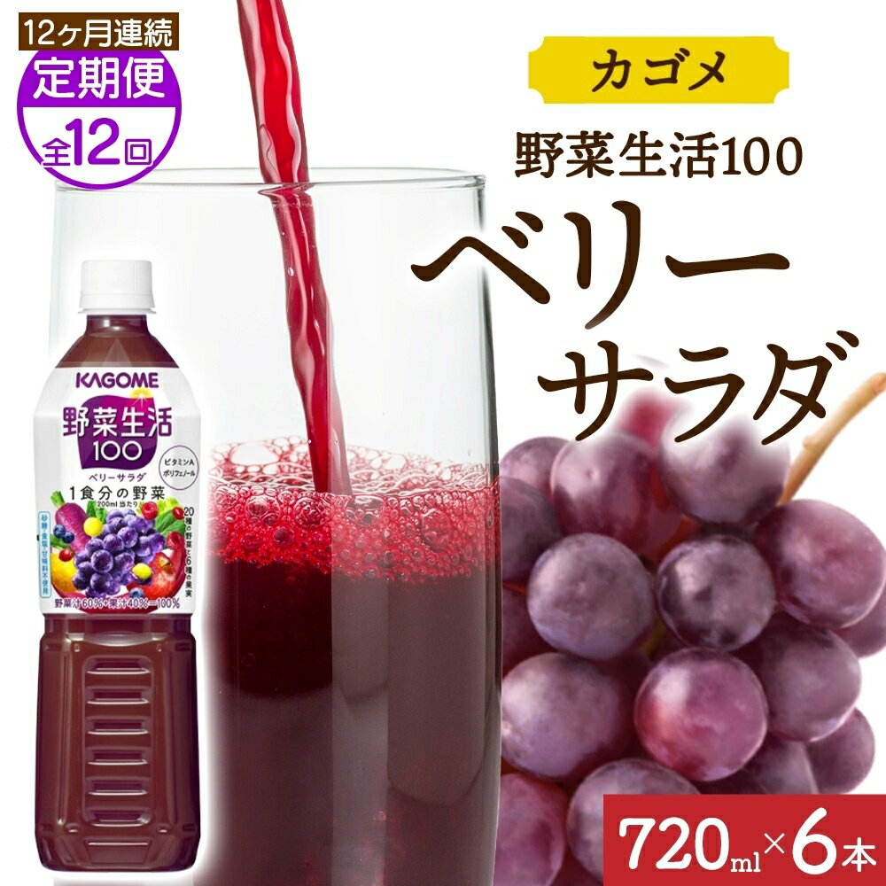 【ふるさと納税】 【定期便】12ヵ月連続野菜生活100 ベリーサラダ 720mlPET 栃木県 那須塩原市 ペットボトル 野菜 果実 ベリー ミックスジュース β-カロテン フルーティー 紫野菜 KAGOME 送料無料