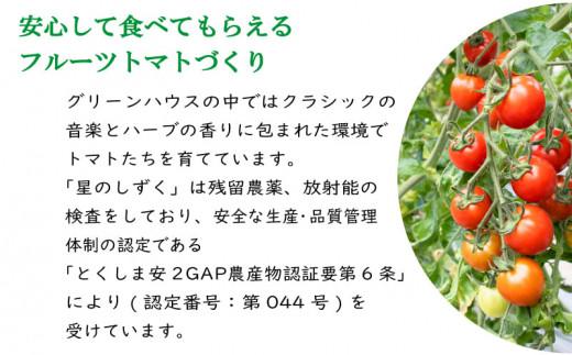 フルーツトマト トマト 定期便 3回 1kg 野菜 やさい トマト 薄皮 星のしずく 完熟 高糖度 糖度 8度 果物 スイーツ ジュース パスタ スパゲティー ソース サラダ ドレッシング 鍋 サンド