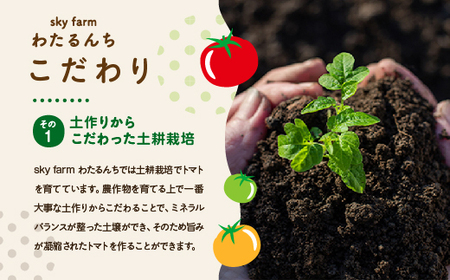 カラフルトマトジュース　2本セット　【11218-0903】