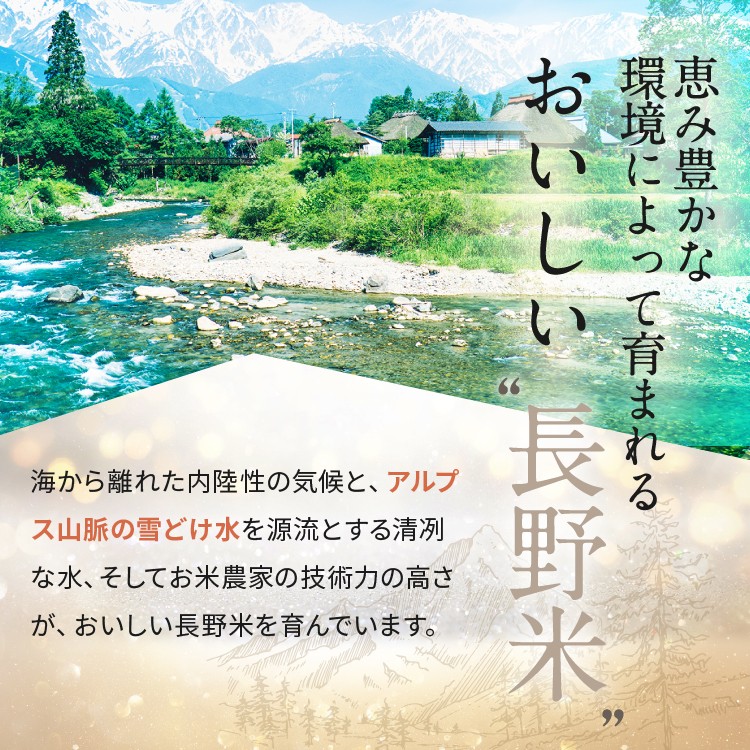 信州米 こしひかり 白米