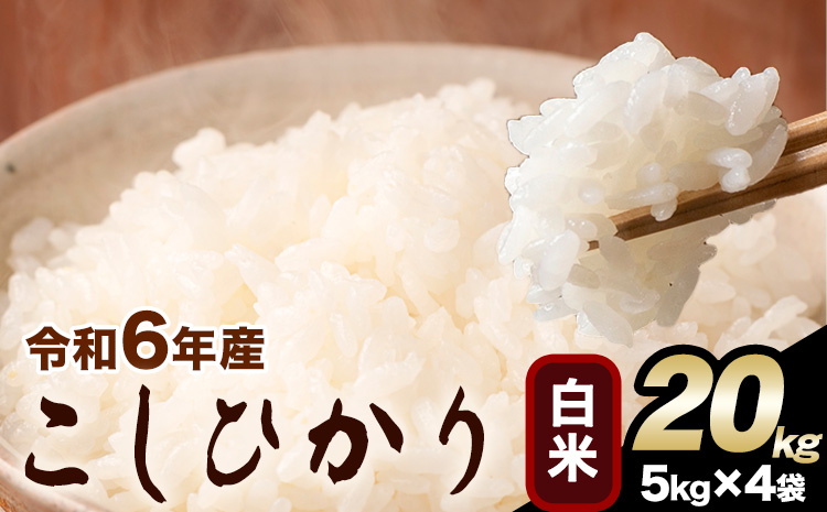 令和6年産 こしひかり 白米  20kg白米 精米 熊本県産(南阿蘇村産含む) 単一原料米 南阿蘇村《2月上旬-2月末頃出荷予定》---mna_kh6_ac2_25_46500_20kg_h---