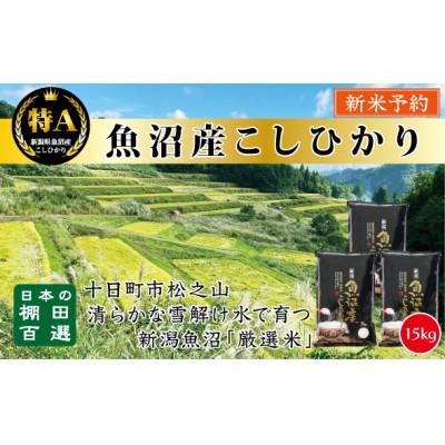 ふるさと納税 十日町市 【令和7年産新米先行予約】日本棚田百選のお米 天空の里・魚沼産こしひかり　5kg×3