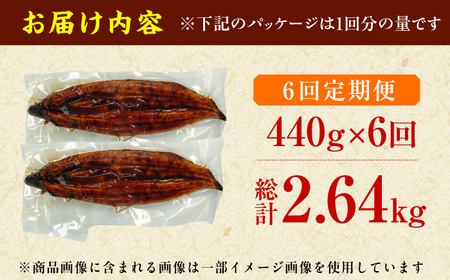 【6回定期便】中国産ニホンウナギ　特大蒲焼（220g×2尾） 広川町 / イールファクトリー株式会社[AFBS007]