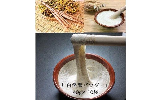 
自然薯をおろさなくていいんです！自然薯パウダー 40g×10袋 水で溶いて手軽に召し上がれるフリーズドライの粉末 [0204]
