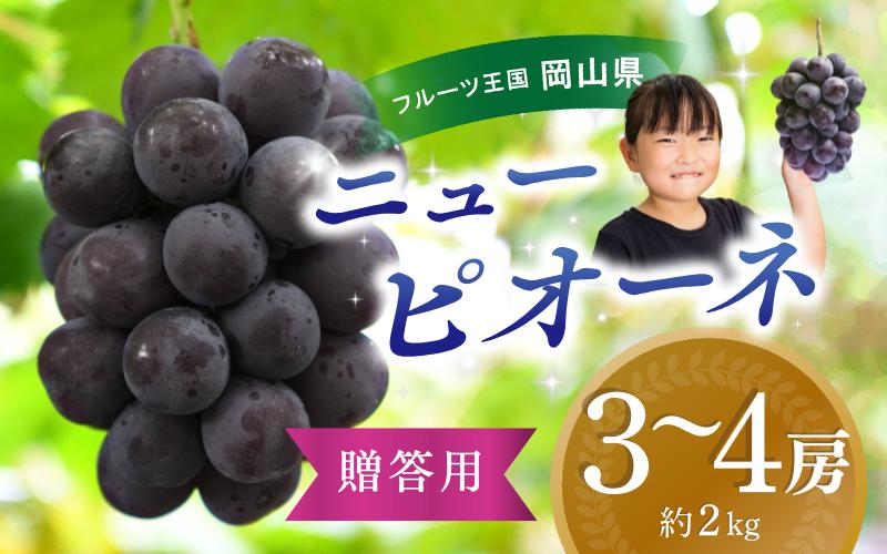 
            【2025年先行予約】ぶどう 岡山 花笑み農園『ニューピオーネ』約2kg（3～4房） hana06-2 贈答用 岡山 真庭 ピオーネ 高級 2kg 贈答 2025 真庭市 大粒 葡萄 果物 フルーツ 濃厚ピオーネ 人気 数量限定 2025年9月上旬～ 受付順に発送予定
          