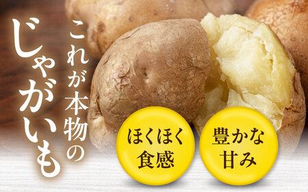 【2025年1月以降順次発送】じゃがいも 食べ比べセット 10kg ( 男爵芋 きたかむい 各 5kg ) 　《喜茂別町》　【Aコープようてい】 ジャガイモ 男爵芋 きたかむい 季節の野菜 北海道[A