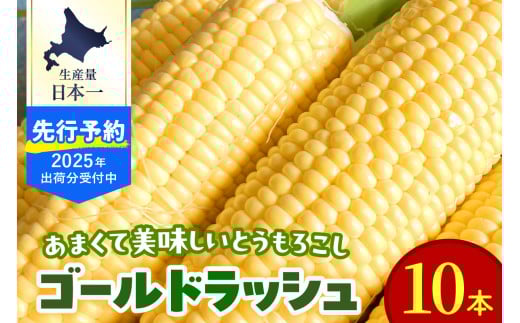 【2025年分先行予約】北海道十勝芽室町 ゴールドラッシュ 2Lサイズ 10本セット me078-003c-25