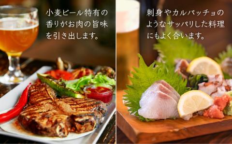 【 お試しセット 】いとしまBEER 330ml × 3本 セット 糸島市 / 蔵屋 [AUA024] ビール クラフトビール 9000円 9千円 [AUA024]