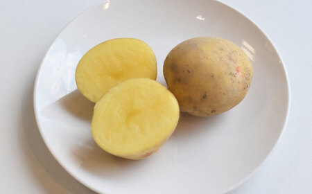 【2027年6月頃より順次発送】和らぎ農法 春じゃが便 2.5kg （栽培期間中、農薬・化学肥料・動物性堆肥不使用）/ じゃがいも 食べ比べ 詰め合わせ セット 新鮮 野菜 / 滋賀県 栗東市 / ワ