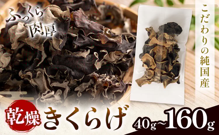 
                  乾燥きくらげ 40g 100g 160g 鷹乃産業有限会社 《30日以内に出荷予定(土日祝除く)》熊本県 球磨郡 山江村 きくらげ きのこ 野菜
                