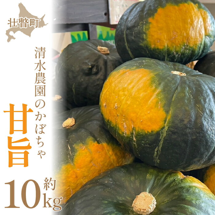【ふるさと納税】＜2025年9月初旬よりお届け＞【農園直送】清水農園のかぼちゃ(甘旨）約10kg (4〜6玉) ふるさと納税 人気 おすすめ ランキング かぼちゃ カボチャ 南瓜 野菜 甘い ほくほく しっとり北海道 壮瞥町 送料無料 SBTO013