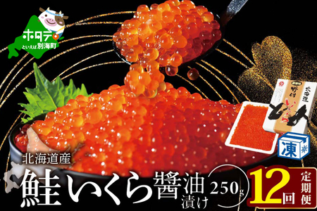 【定期便 12ヵ月】【250g×1パック 12回 お届け】計3kg  漁協 直送！本場「北海道」 いくら 醤油漬け【NKM12NQ05】（ いくら イクラ 鮭卵 定期便 醤油漬け 北海道 別海町 人気 ふるさと納税 ）