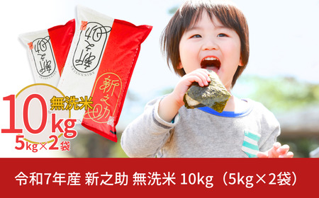 新潟県産 無洗米 新之助 10kg  令和7年 新之助 白熊