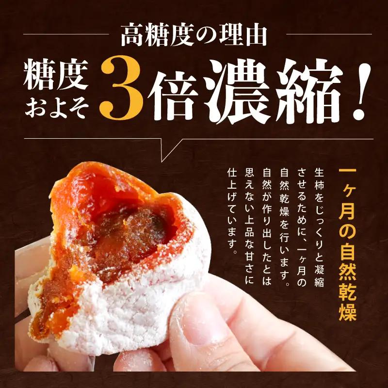 信州の特産品「市田柿」ご家庭用 500g 〈2027年1月中旬～2月下旬発送〉 | 長野県 飯田市