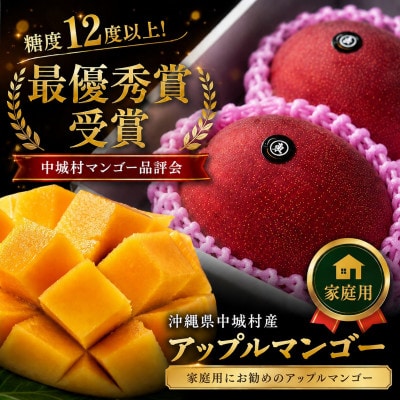 【2026年6月下旬から順次発送】マルトウマンゴーの家庭用アップルマンゴー2kg【配送不可地域：離島】