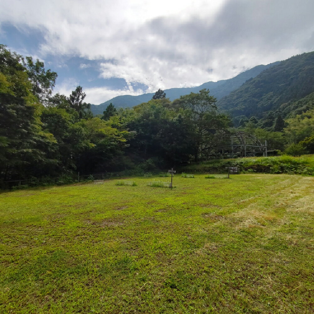 【ふるさと納税】宿泊プラン フリーサイト 薪付 1泊2日 山梨県 キャンプ キャンプ場 利用券 宿泊券 アウトドア 身延町 送料無料