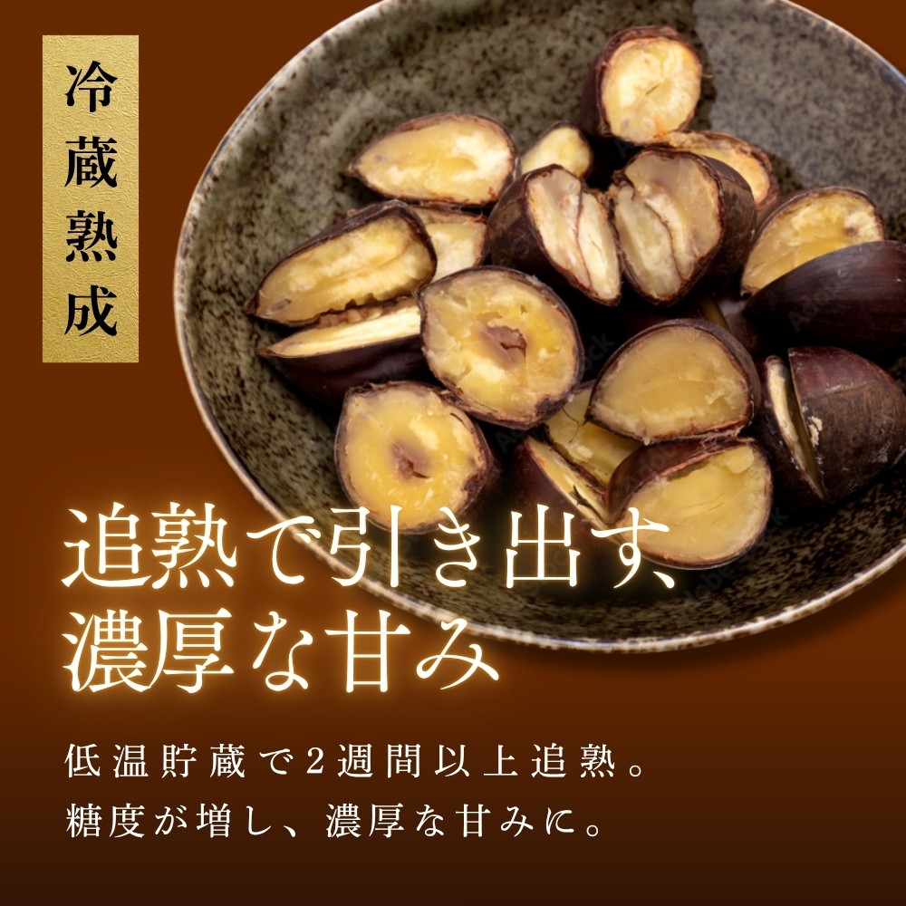 〈品評会受賞〉丹波栗 選べる 〈4L 3L 2L L お試し混載 熟成栗〉 【低温追熟】