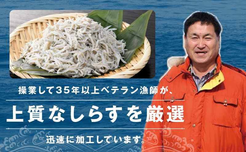 釜揚げしらす＆ちりめん山椒セット 計600g【小分け ちりめん シラス しらす sirasu 海鮮 セット 人気 おすすめ 産地直送】 G3796