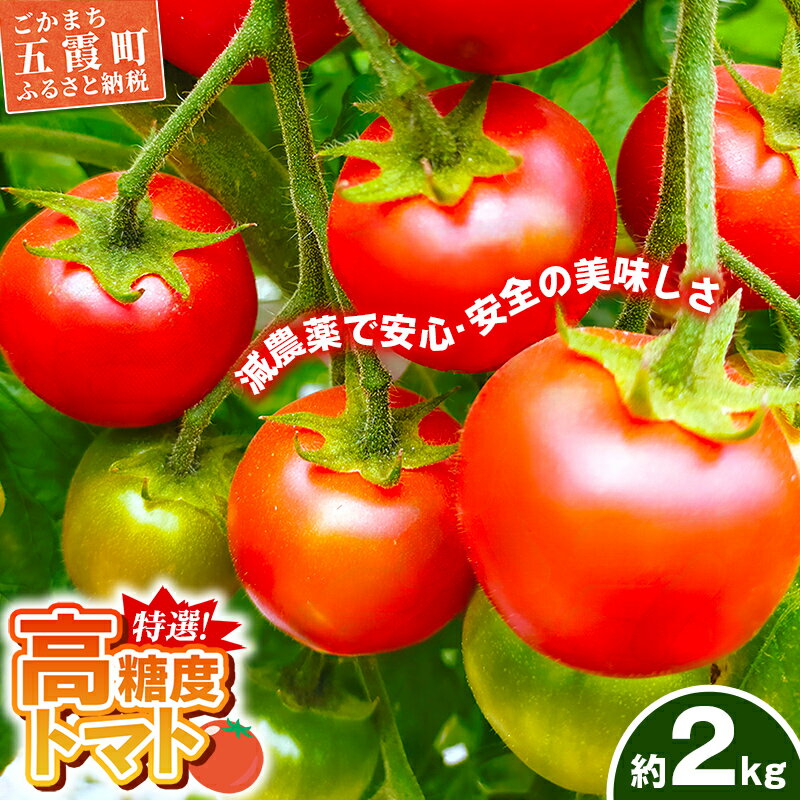 【ふるさと納税】山中トマト農園がお届けする！五霞町の特選 高糖度トマト 2箱（約2kg）／ 完熟 甘い 減農薬 こだわり 贈り物 エクセレントトマト 中玉トマト 野菜 とまと 茨城県 五霞町
