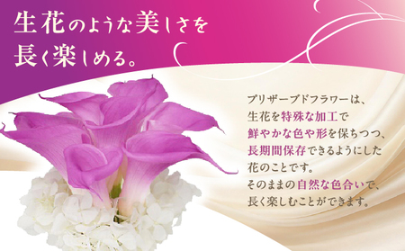 プリザーブドフラワー ギフト プティカラーリリー 【花 フラワー 天然 国産 ギフト プレゼント 記念日 お祝い プチギフト 贈り物 お花 水かえ不要 枯れない プリザーブドフラワー】