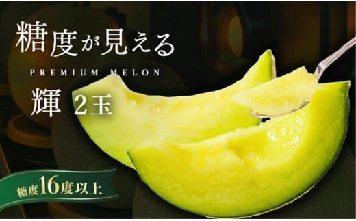 受付終了間近！＼糖度16度以上！／ 品質の見える メロン 【輝】等級 エルソルメロン 2玉入り ｜めろん メロン おすすめ 人気 国産 茨城 鉾田 サングリーン旭 特秀 輝 旬 プレゼント 贈り物 青肉 フルーツ 果物 5月以降発送