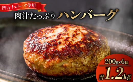 ハンバーグ 四万十ポーク 入り 1.2kg ( 200g × 6個 ) 冷凍 真空 小分け 個包装 肉汁 たっぷり 大容量 大きめ 合挽き 牛肉 豚肉 保存料 不使用 ビーフ ポーク 合いびき肉 挽肉 ジューシー お弁当 おかず 惣菜 晩ごはん 贅沢 ギフト 贈り物 贈答