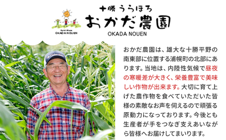 北海道産 ほしつぶコーン 18本 ジャンボサイズ 2026年予約 おかだ農園